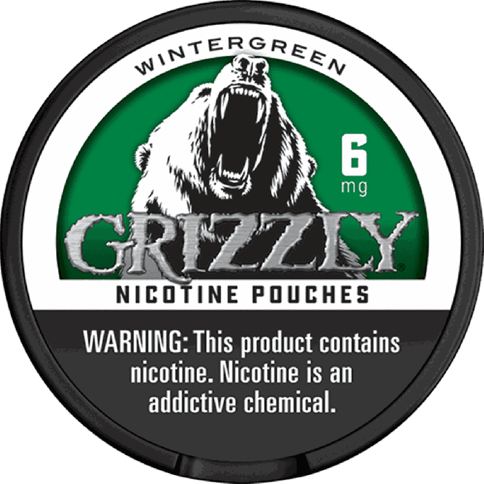 Grizzly Nicotine Pouches - Wintergreen - Image 2