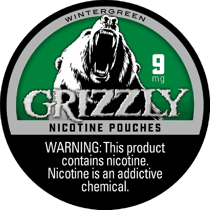 Grizzly Nicotine Pouches - Wintergreen - Image 3