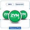 ZYN 6 MG SPEARMINT 5CT